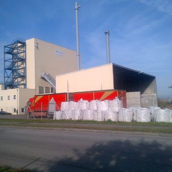 Bild vergrößern: Austrian plant