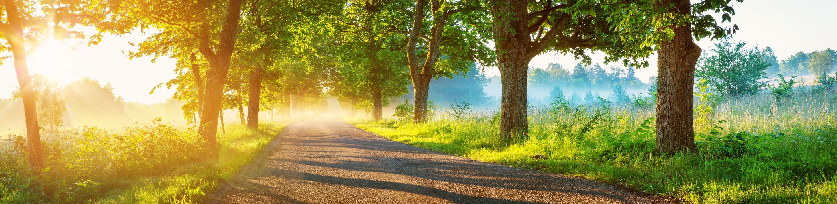 Bild vergrößern: AdobeStock_315157678